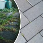 Chwasty na podwórku znikną z dnia na dzień, jeśli spryskasz