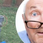 Dziwne znalezisko w pobliżu drzewa sprawiło, że sąsiadka zastanawiała się,