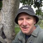 Puste drzewo to nie wyrok: sprawdzony sposób na przedłużenie życia drzewa Puste drzewo to nie wyrok: sprawdzony sposób na przedłużenie życia